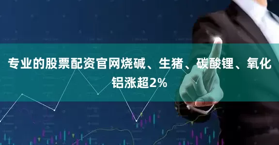 专业的股票配资官网烧碱、生猪、碳酸锂、氧化铝涨超2%