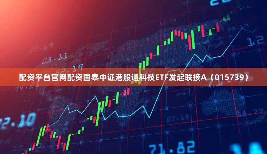配资平台官网配资国泰中证港股通科技ETF发起联接A（015739）