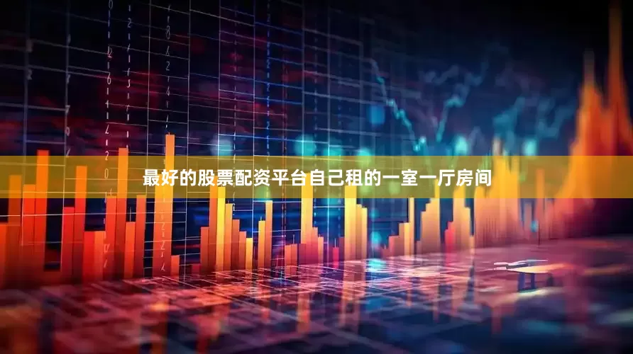 最好的股票配资平台自己租的一室一厅房间