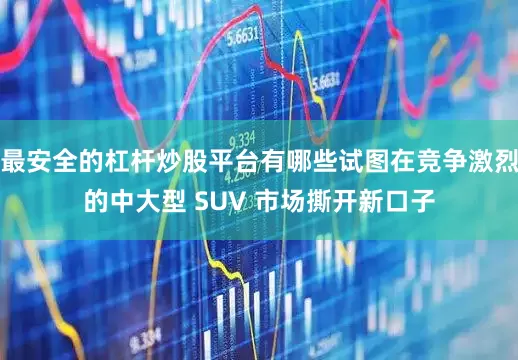 最安全的杠杆炒股平台有哪些试图在竞争激烈的中大型 SUV 市场撕开新口子