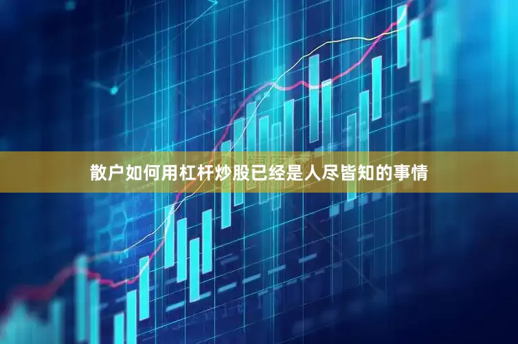 散户如何用杠杆炒股已经是人尽皆知的事情
