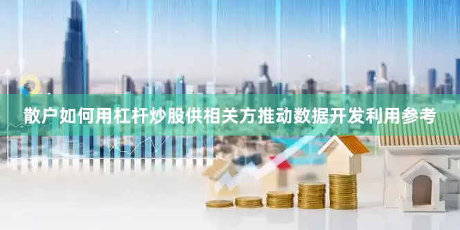 散户如何用杠杆炒股供相关方推动数据开发利用参考